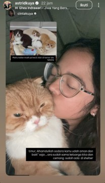 Kucing Astrid Kuya. [Instagram]